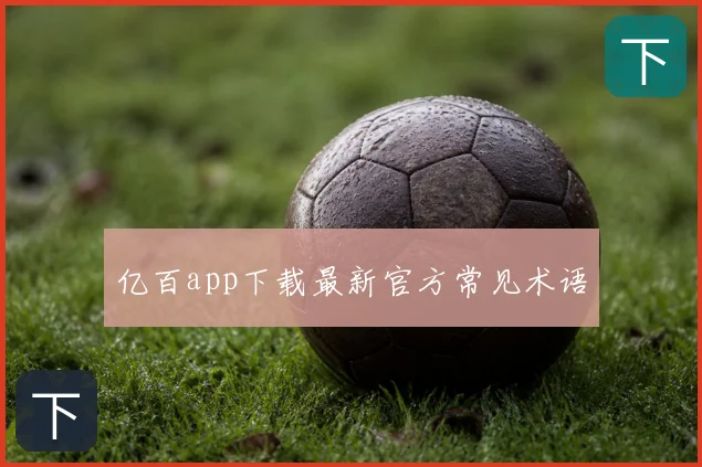 亿百app下载最新官方常见术语